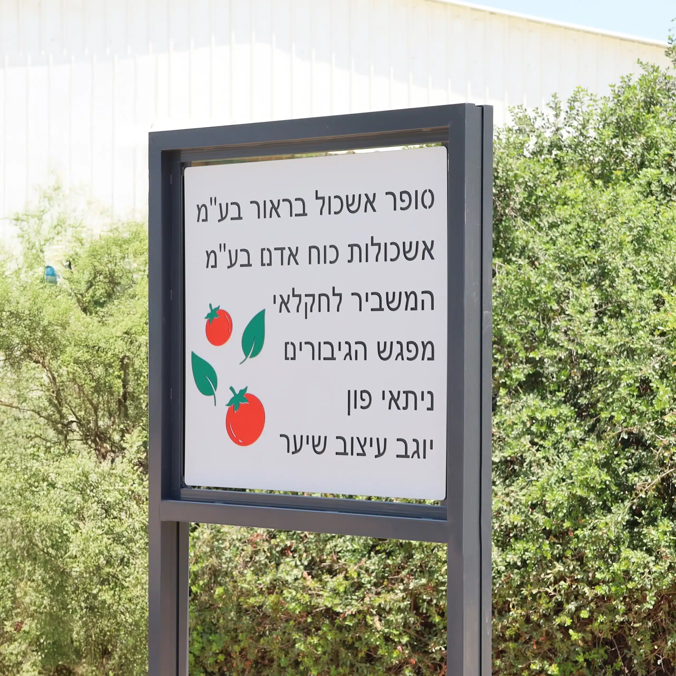 שלט הכוונה